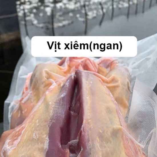Vịt xiêm (ngan) sống, nuôi thiên nhiên giá tốt